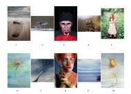 Second Colour Print Panel  - Wexford Camera Club